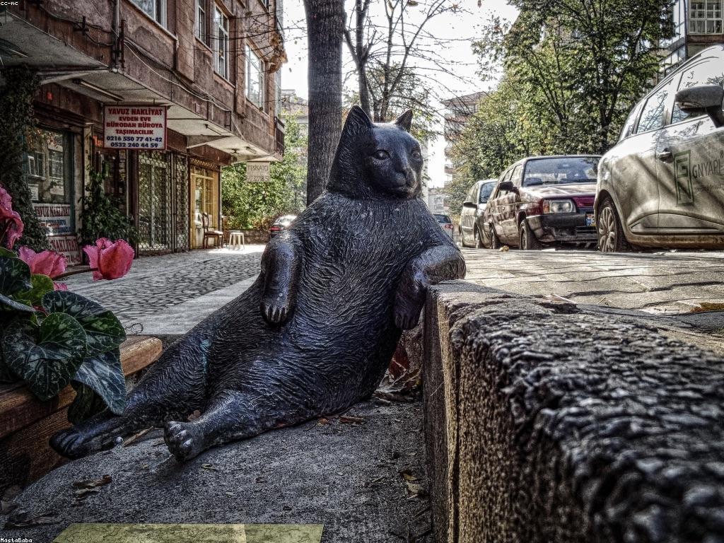 ព័ត៌មានថ្មីៗអំពី DV38